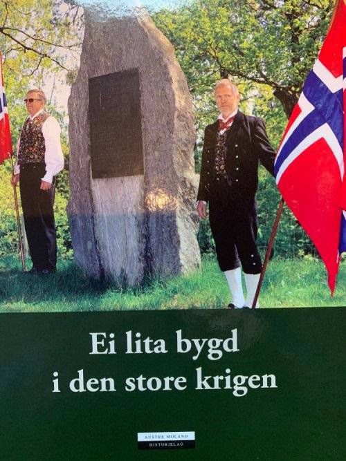 "Ei lita bygd i den store krigen"