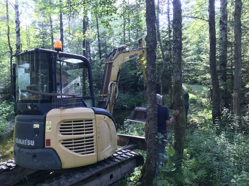 Oppgradering og utvidelse av tursti ved Kjærhølen