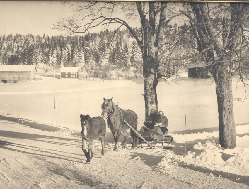 God jul og godt nytt år!